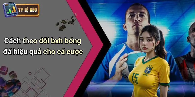 Cách theo dõi bxh bóng đá hiệu quả cho cá cược