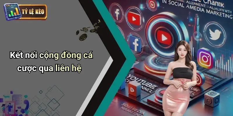 Kết nối cộng đồng cá cược qua liên hệ