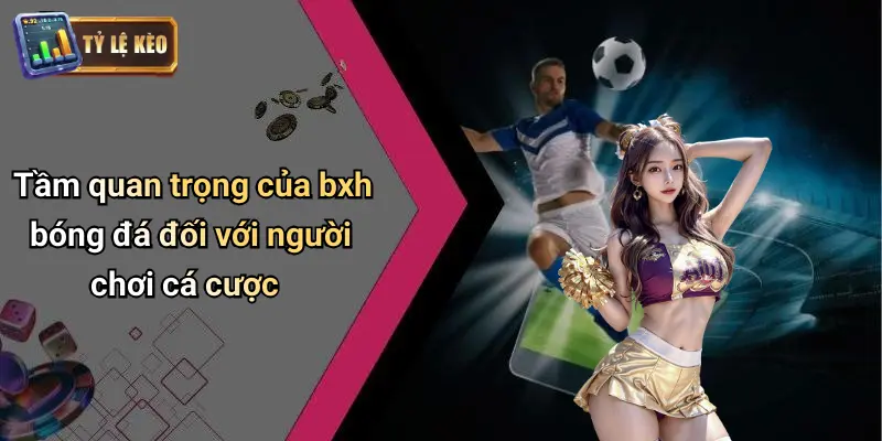 Tầm quan trọng của bxh bóng đá đối với người chơi cá cược
