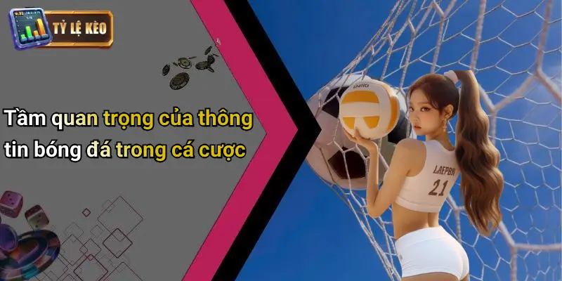 Tin Tức Bóng Đá