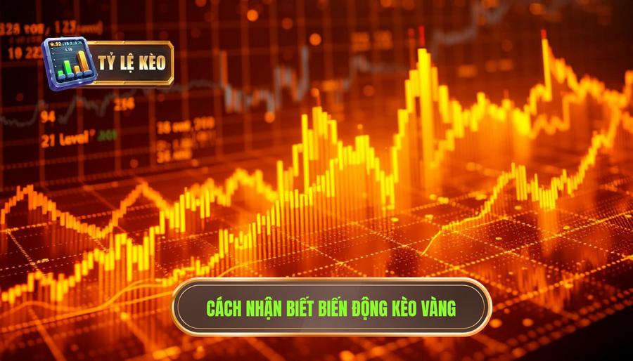 Những tín hiệu "vàng" từ biến động kèo